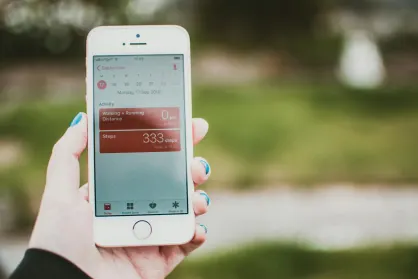 5Dimes Casino Application mobile